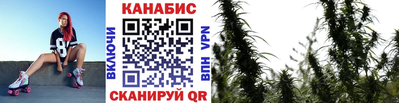 Шишки марихуана ГИДРОПОН  мориарти наркотические препараты  Оханск 